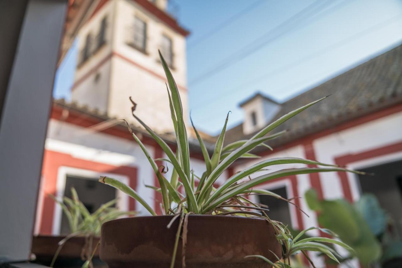 Loft En Casa Palacio Mergelina Parking Gratis Sanlúcar de Barrameda Dış mekan fotoğraf
